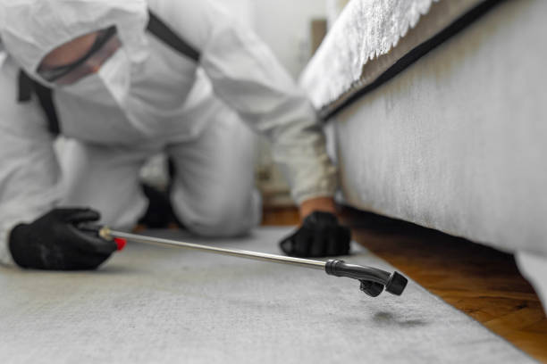 Professional Termite Control technician working in Olean, NY