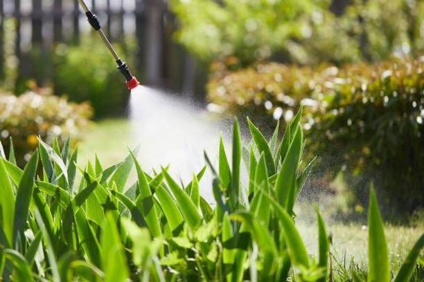 24/7 Emergency Termite Control experts in Olean, NY