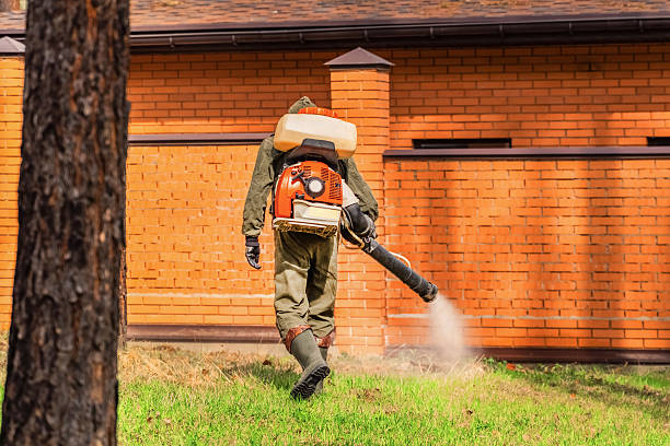 Top rated local Termite Control specialists in Olean, NY